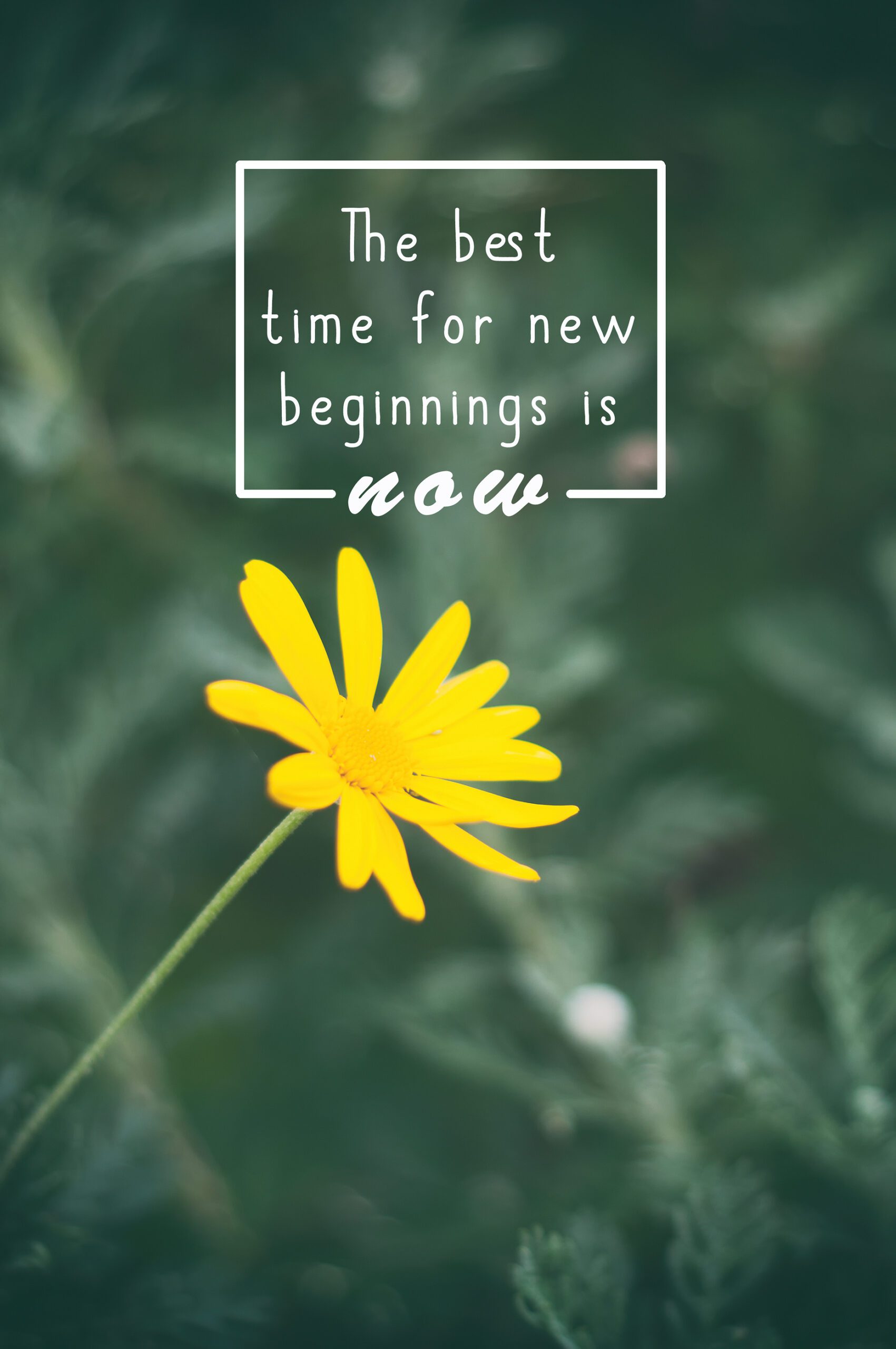 The best time for new beginnings is now.